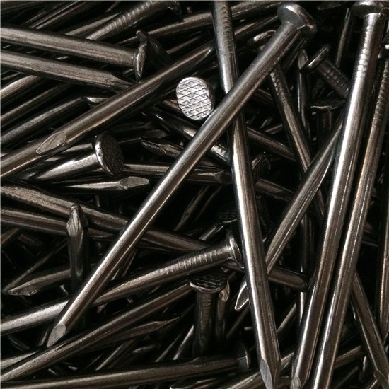 Common Nails